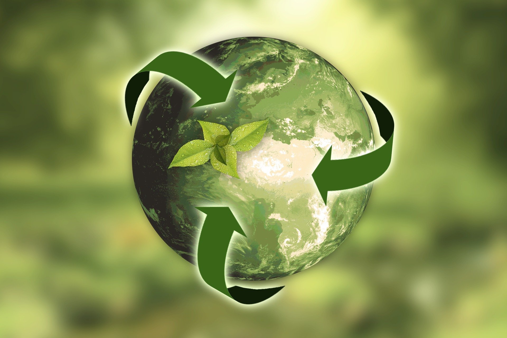 Zum Earth Day: Cloud vs. On-Premise – eine Frage der Nachhaltigkeit?