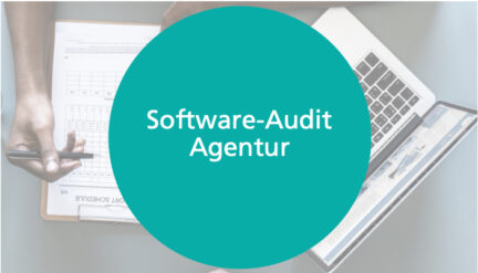 Software-Audit Agentur: Das unterschätzte Fundament Ihres Agenturerfolgs