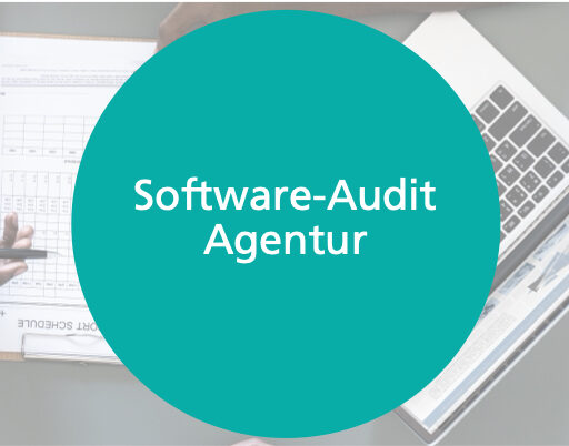 Beitragsbild mit Text Software-Audit Agentur