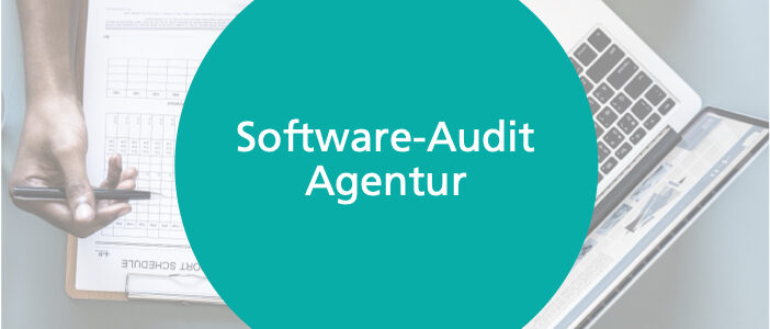 Beitragsbild mit Text Software-Audit Agentur