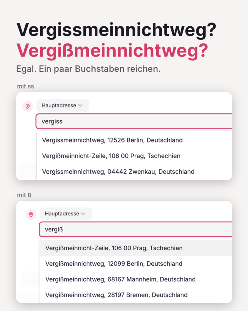 LeadToBill Screenshot Kontaktkorrektur Beispiel vergissmeinnichtweg